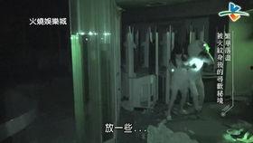 逃跑吧兄弟爆料视频  第1张